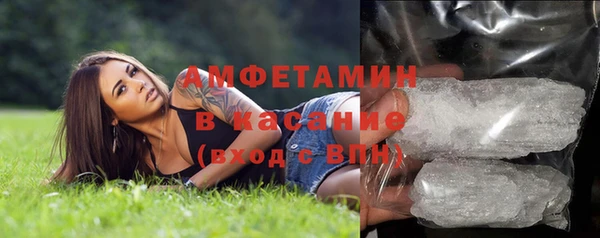 индика Волосово