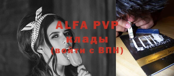 индика Волосово
