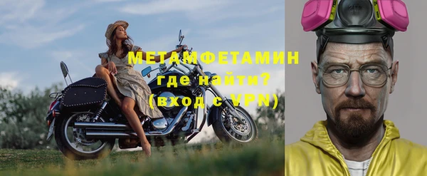 индика Волосово