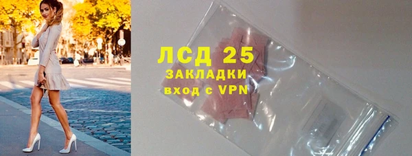 индика Волосово