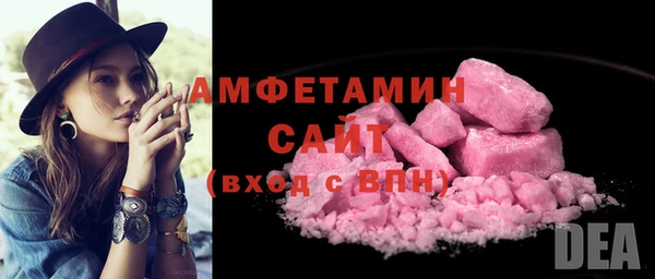 индика Волосово