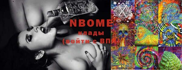 индика Волосово