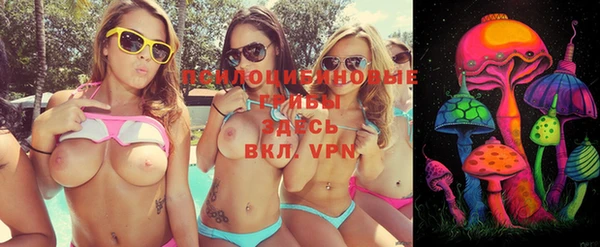 индика Волосово