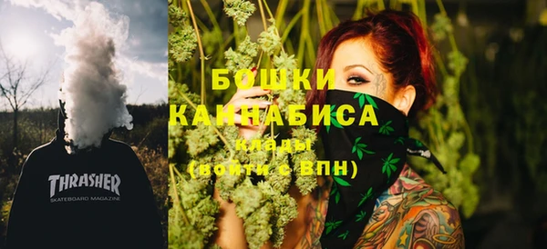индика Волосово