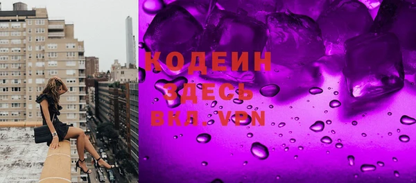 индика Волосово
