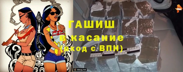индика Волосово
