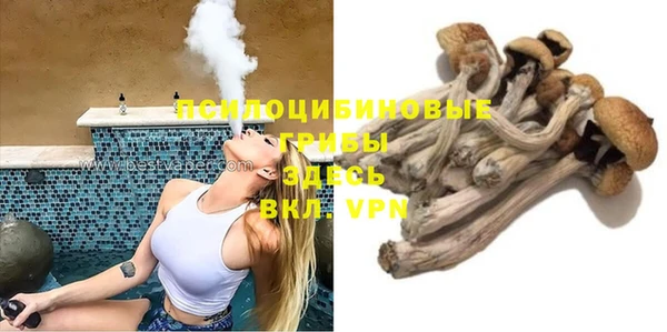 индика Волосово